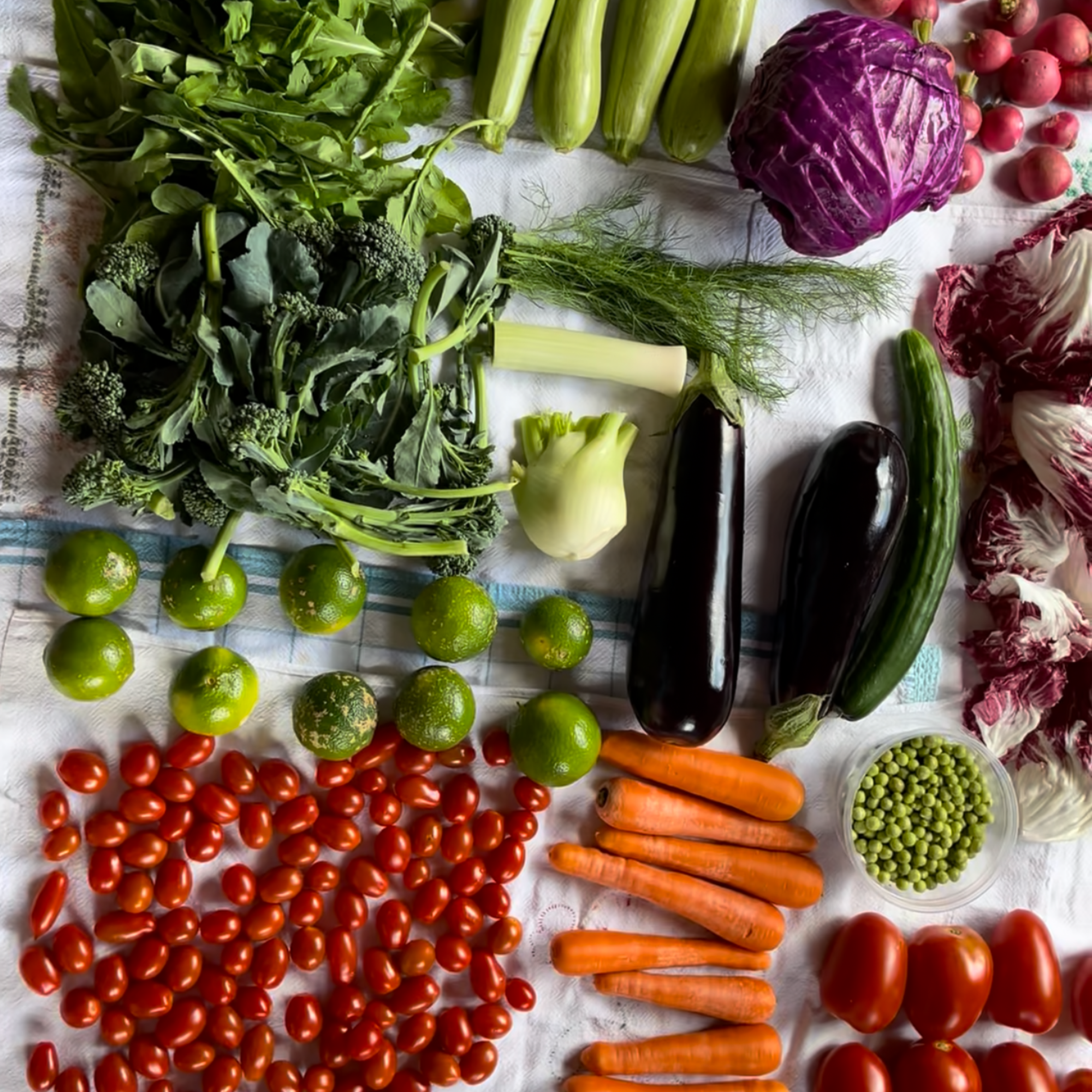 Fibra não é tudo igual: o guia completo (e afetuoso) para nutrir sua família