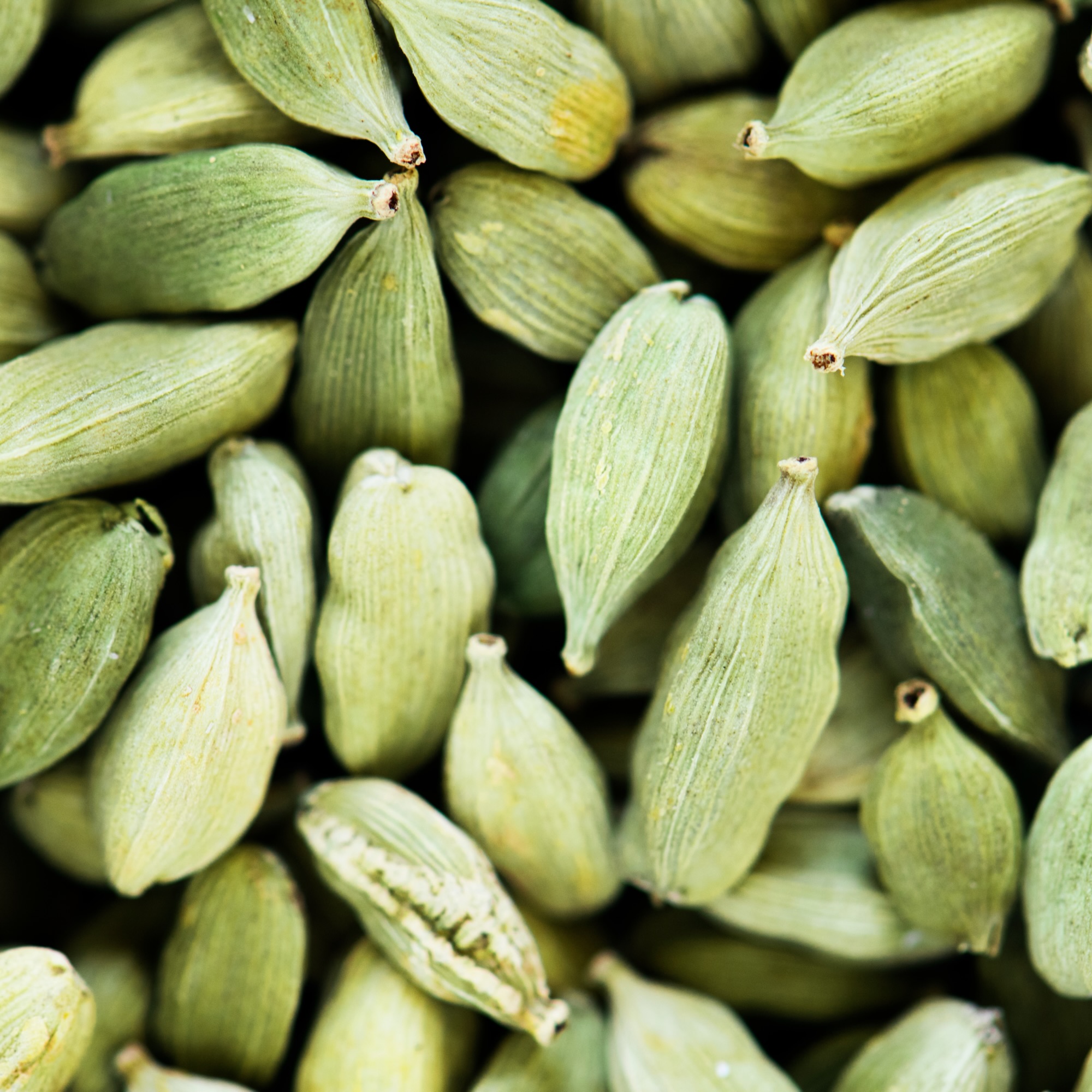 Cardamomo | Magalinices